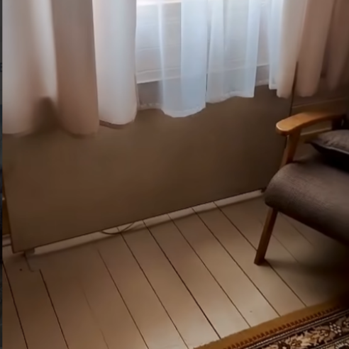 отзывы никатэн